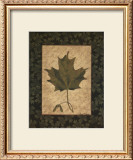 Buy Sugar Maple Leaf at AllPosters.com