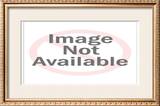 Buy Garden Tools and Flowers at AllPosters.com