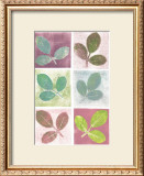 Buy Leaf Impressions at AllPosters.com