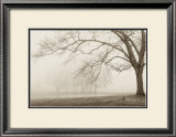 Buy Layers of Trees I at AllPosters.com
