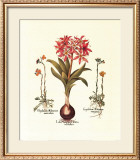 Botanical IV