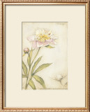 Buy Peony I at AllPosters.com
