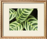 Buy Springtime I at AllPosters.com