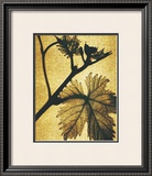 Buy Golden Time II at AllPosters.com