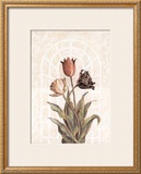 Buy Tulip Companion II at AllPosters.com