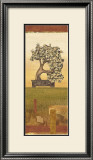 Bonsai III