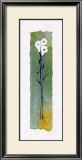 Buy Daisies on Green Wash Papyrus at AllPosters.com
