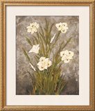 Buy White Harmony I at AllPosters.com
