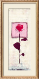 Buy She Is My Favourite at AllPosters.com