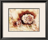 Buy Rose Shadow I at AllPosters.com