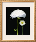 Buy Two Friends I at AllPosters.com