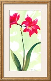 Buy Asian Lily at AllPosters.com