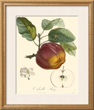 Buy Apples at AllPosters.com