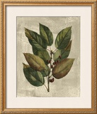 Buy Deshayes Tree IV at AllPosters.com