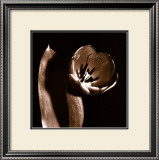 Open Tulip