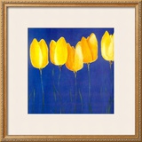 Buy Yellow Tulips at AllPosters.com
