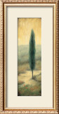 Buy Tuscan Twilight II at AllPosters.com