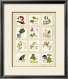 Buy Kent Garden Fragments at AllPosters.com