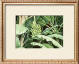 Buy Hawaii IV at AllPosters.com