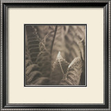 Buy Moonglow II at AllPosters.com