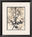 Buy American Elm at AllPosters.com