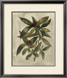 Buy Deshayes Tree III at AllPosters.com