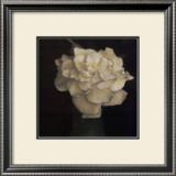 Buy Gardenia in Green Vase at AllPosters.com