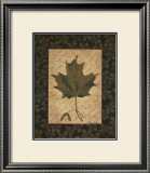 Buy Sugar Maple Leaf at AllPosters.com