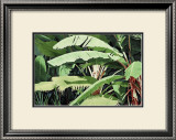 Buy Tropical Harmony at AllPosters.com
