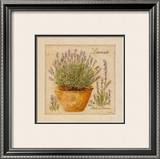 Herbes de Provence, Lavande