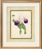 Buy Fitch Orchid I at AllPosters.com