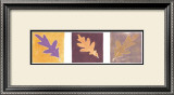 Buy Leaf Impressions II at AllPosters.com