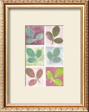 Buy Leaf Impressions at AllPosters.com