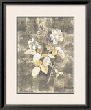 Buy Silver Rose I at AllPosters.com