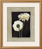 Flora II