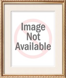 Buy Fleurs St. Germain at AllPosters.com