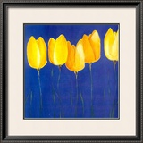 Buy Yellow Tulips at AllPosters.com