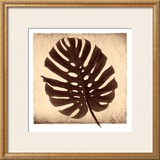 Buy Monstera II at AllPosters.com