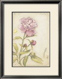 Buy Peony III at AllPosters.com