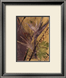 Buy Rainforest Suite II at AllPosters.com