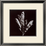 Buy Simplicity at AllPosters.com