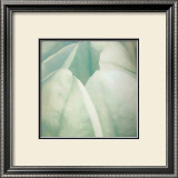 Buy Tulip Trio II at AllPosters.com