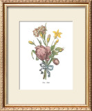 Buy Roses at AllPosters.com