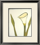Buy Arum, c.2003 at AllPosters.com