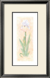 Iris Soliloquy II