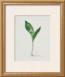 Buy Lily of the Valley at AllPosters.com