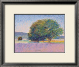 Buy Trees in Provence at AllPosters.com