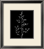 Wild Grasses I
