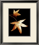 Buy Double Maple Leaf at AllPosters.com