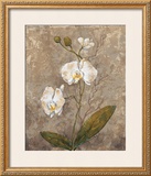 Buy White Harmony II at AllPosters.com